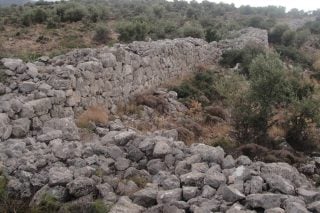 arxaio teixos dema fyli